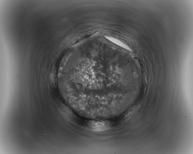 X0000085070181200703191309