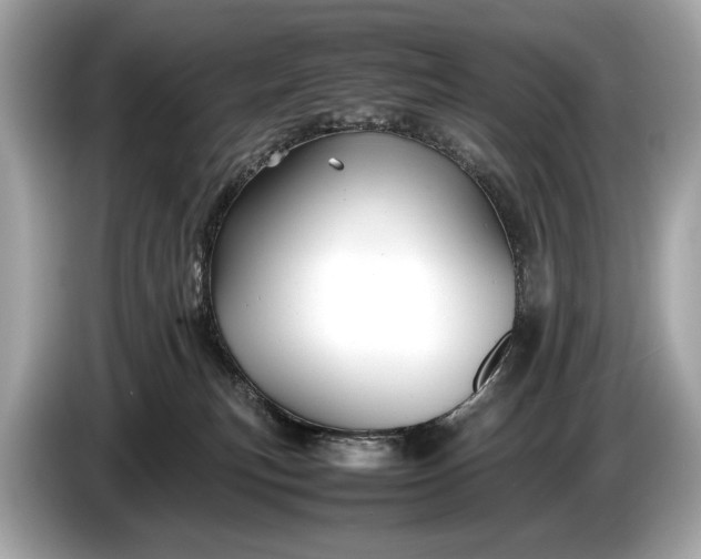 X0000085070183200703191309