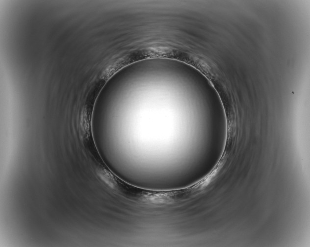 X0000085070186200703191309