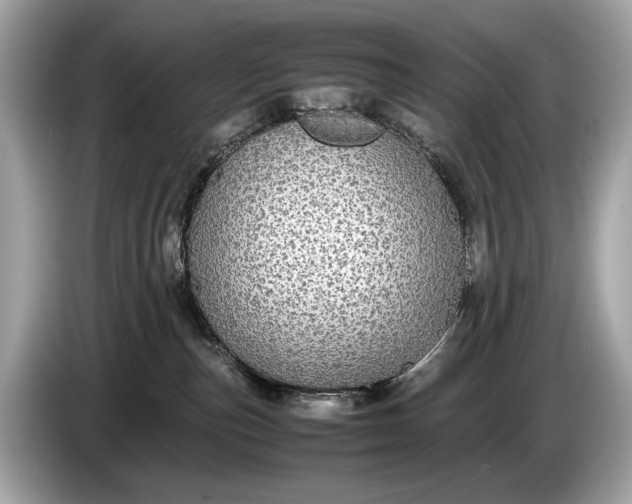 X0000085070187200703191309