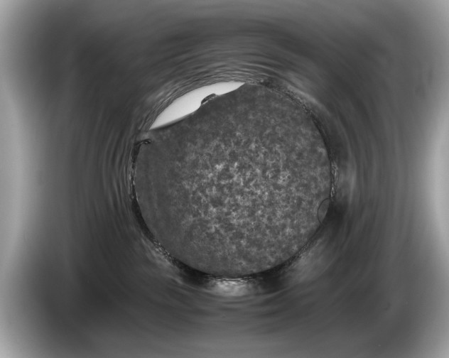 X0000085070189200703191310