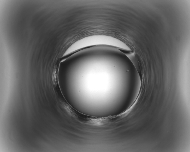 X0000085070190200703191310