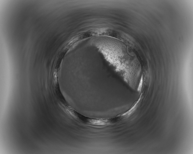 X0000085070191200703191310