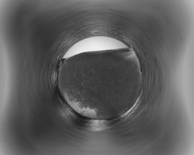 X0000085070192200703191310