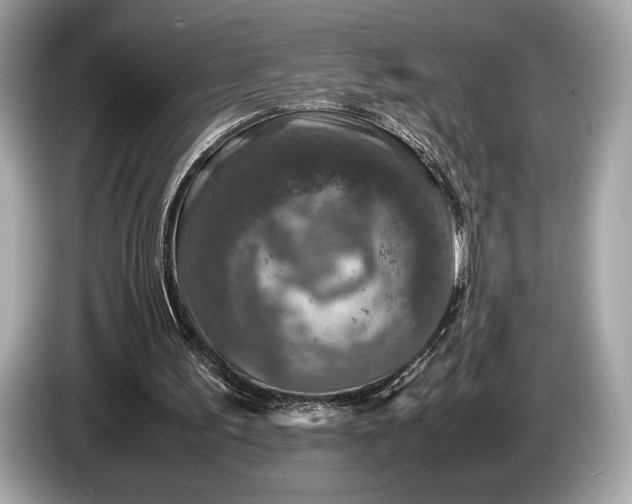 X0000085070195200703191309