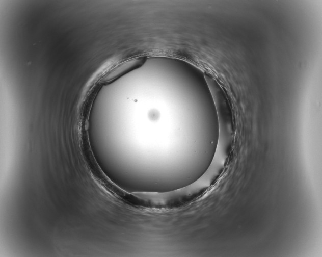 X0000085070197200703191309