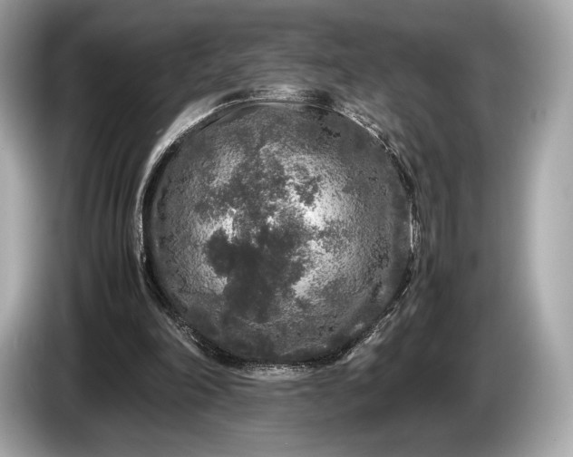 X0000085070198200703191309