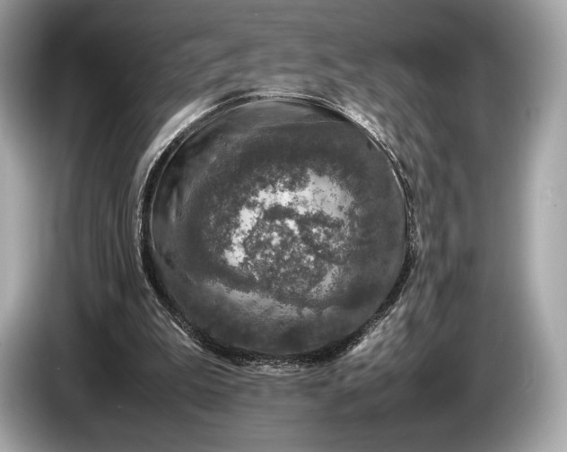 X0000085070199200703191309