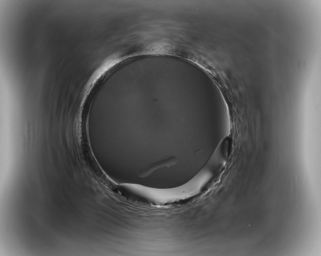 X0000085070200200703191309