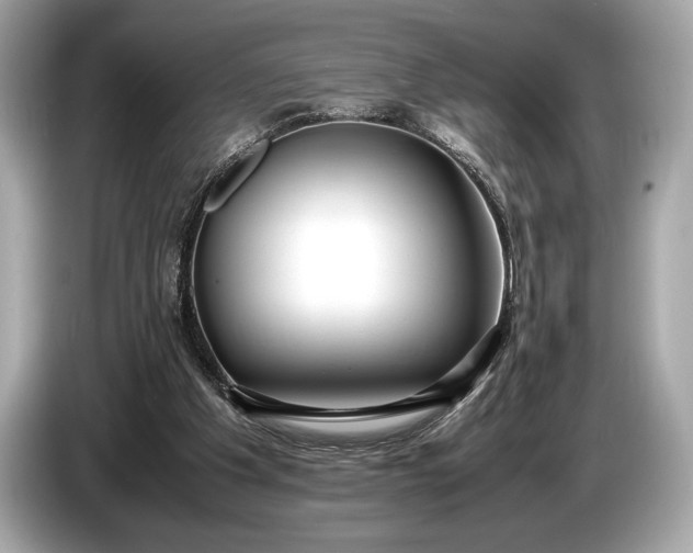 X0000085070201200703191309