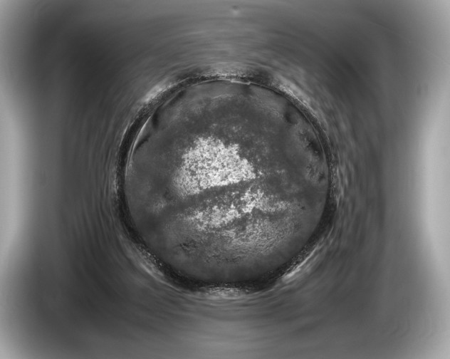 X0000085070203200703191309