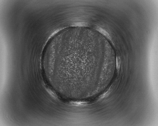 X0000085070204200703191309