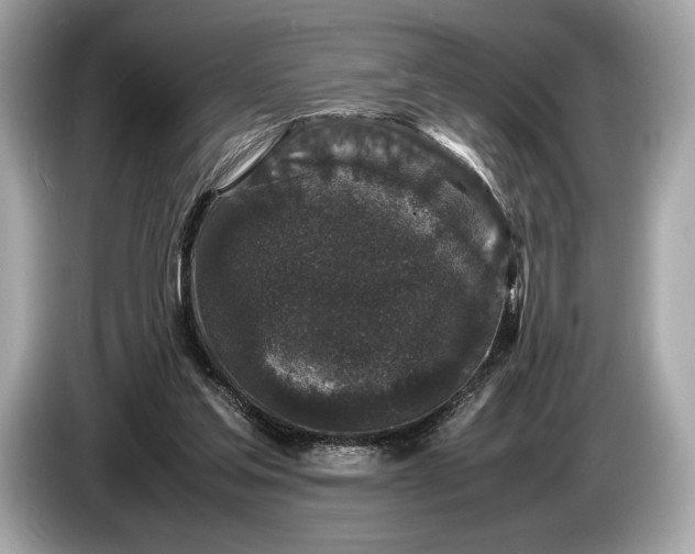 X0000085070205200703191309