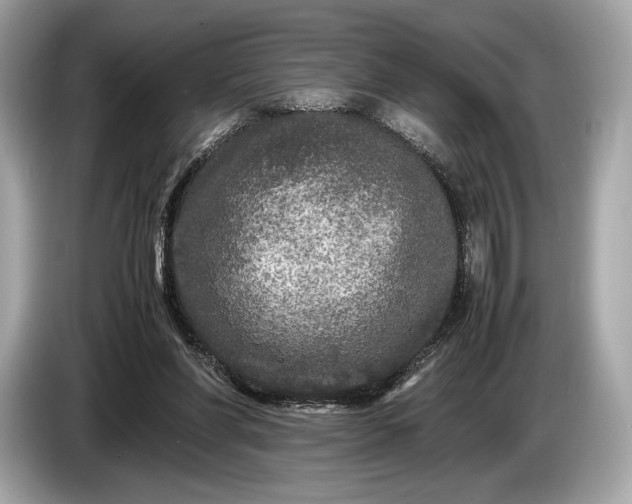 X0000085070206200703191309