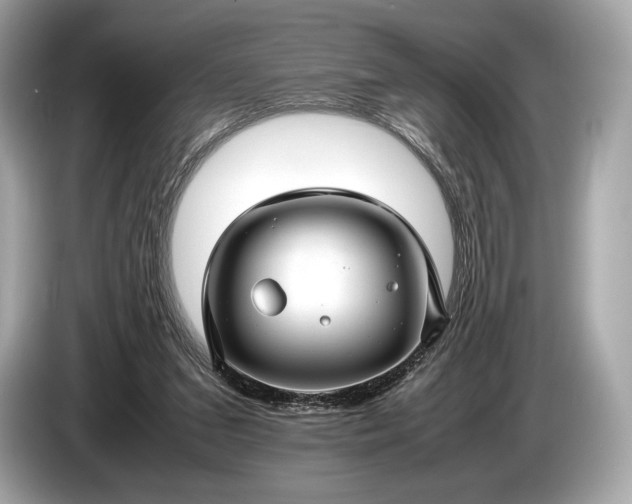 X0000085070207200703191309