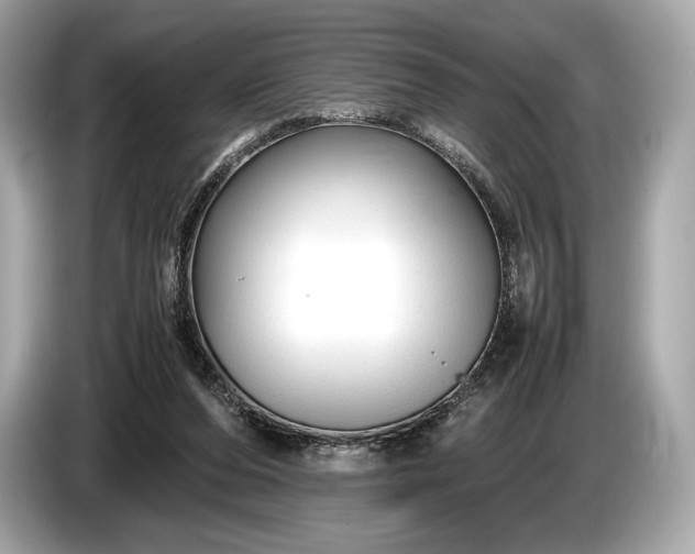 X0000085070208200703191309