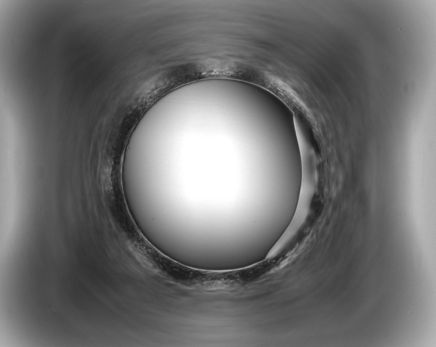 X0000085070209200703191309