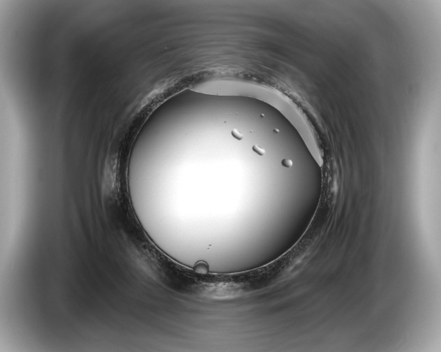 X0000085070212200703191309