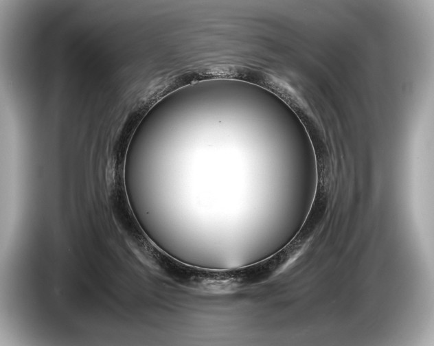 X0000085070213200703191309