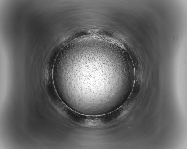 X0000085070215200703191309