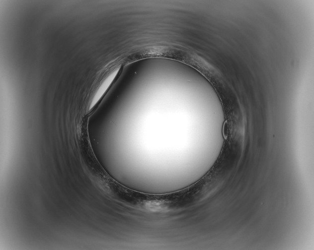 X0000085070216200703191309