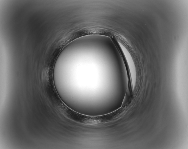 X0000085070217200703191309