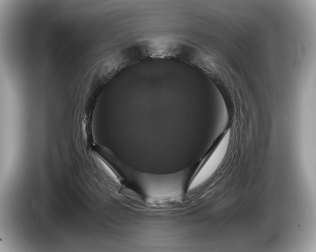 X0000085070219200703191309