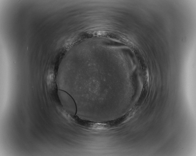 X0000085070222200703191308