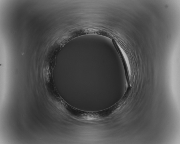 X0000085070223200703191308