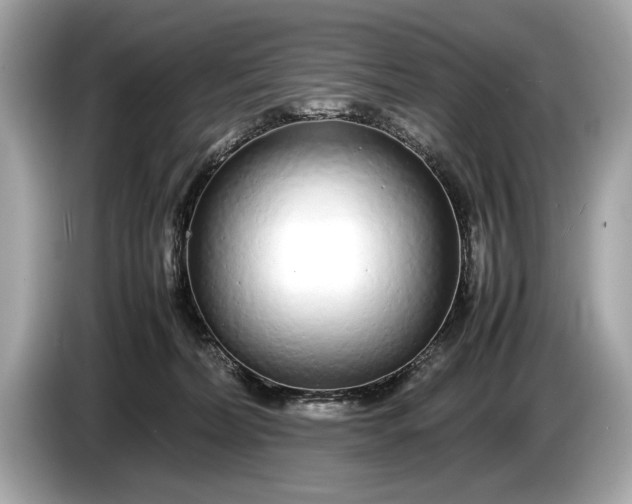 X0000085070228200703191308