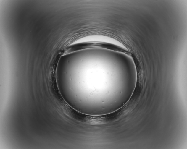 X0000085070229200703191308