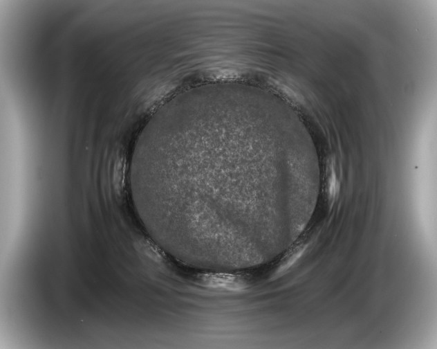 X0000085070230200703191308