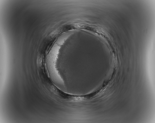 X0000085070233200703191308