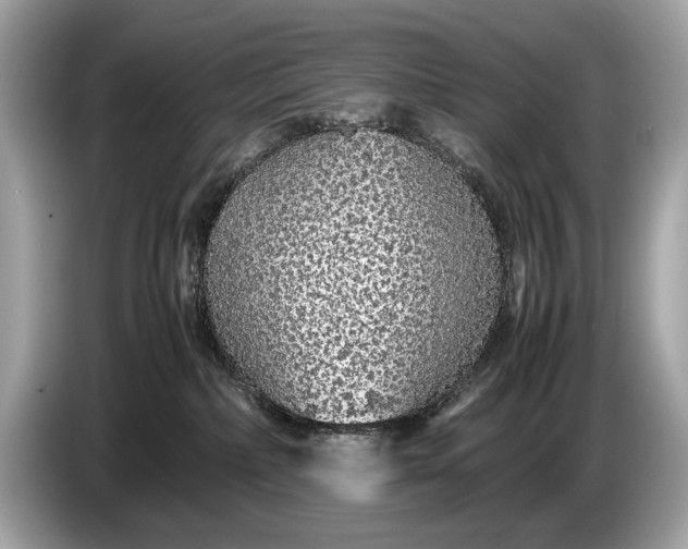 X0000085070236200703191308