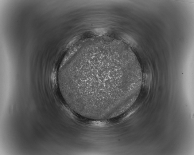 X0000085070238200703191308