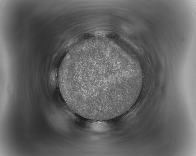 X0000085070240200703191308