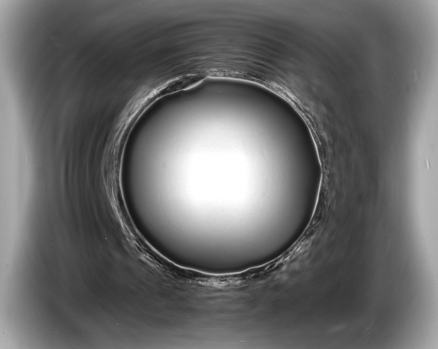 X0000085070241200703191308