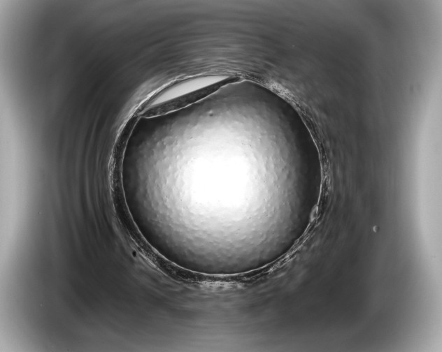 X0000085070242200703191308