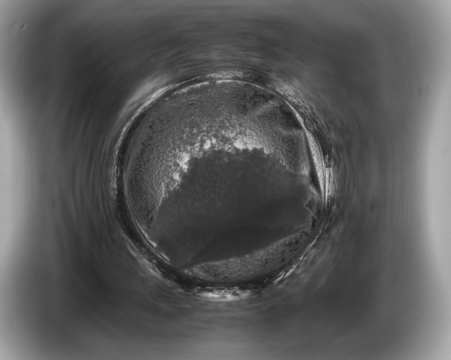 X0000085070243200703191308