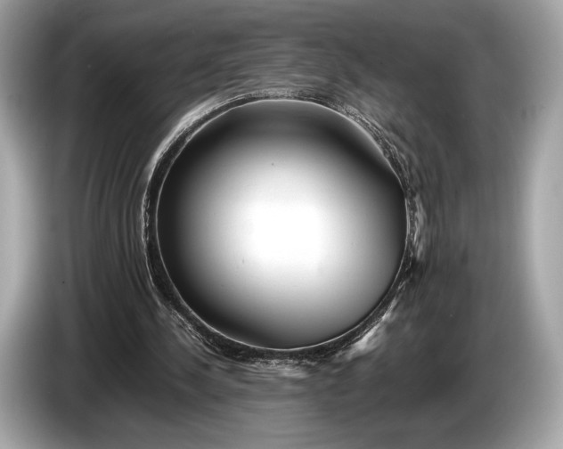 X0000085070244200703191308