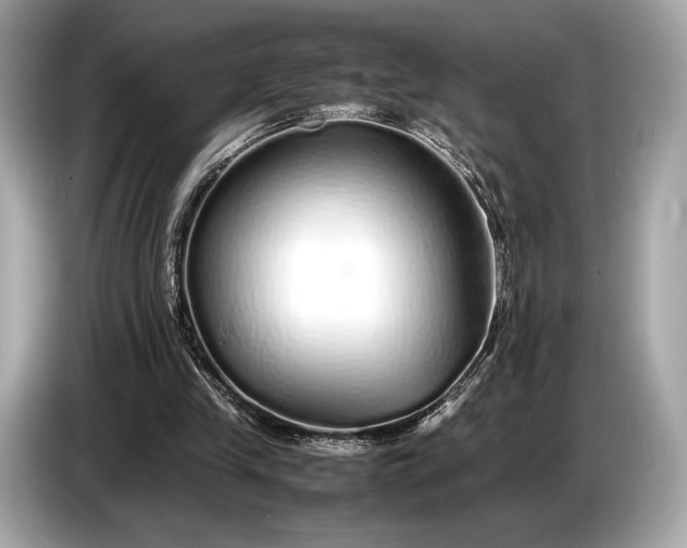 X0000085070245200703191308