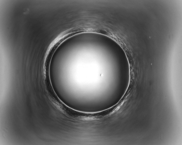 X0000085070246200703191308