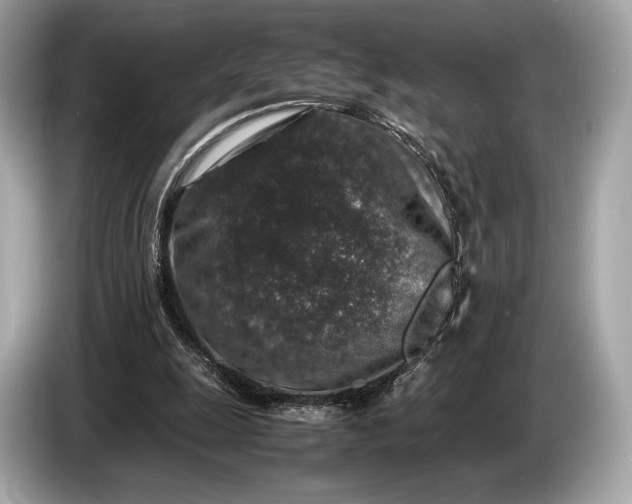 X0000085070247200703191308