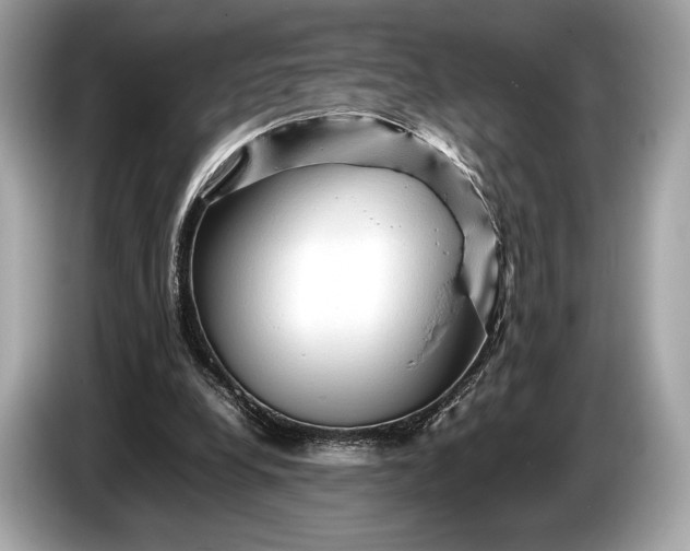 X0000085070248200703191308