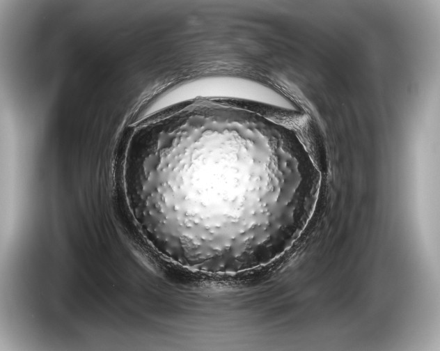 X0000085070250200703191308