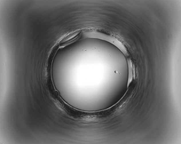 X0000085070252200703191308