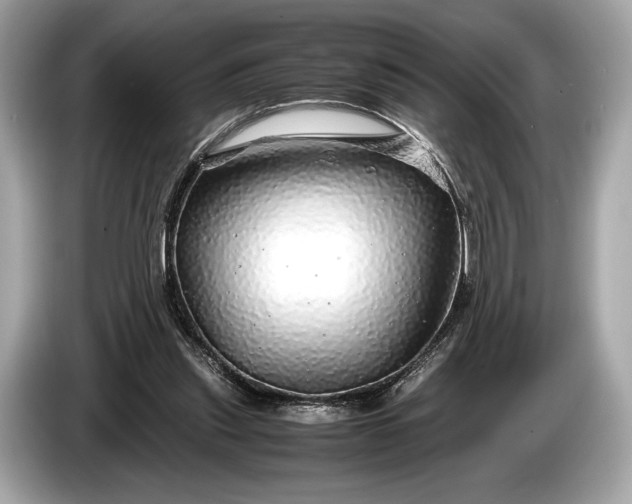 X0000085070253200703191308