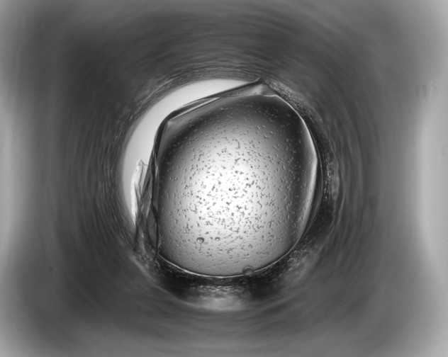 X0000085070255200703191308