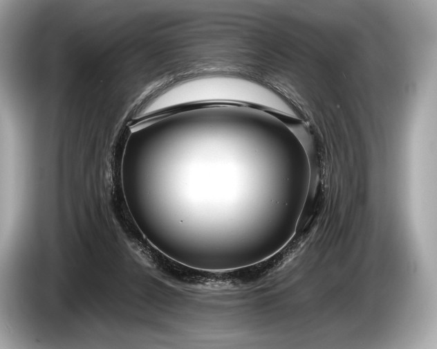 X0000085070256200703191308