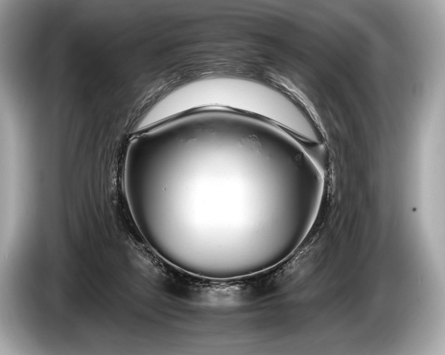 X0000085070257200703191308